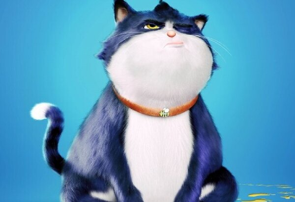 cin_19_outubro_2024_eventos