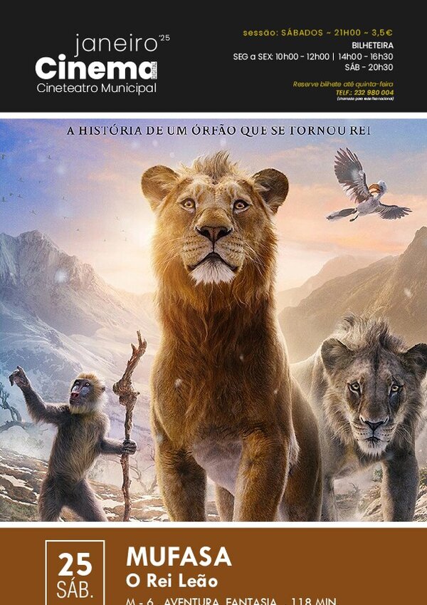 cin_25_janeiro_2025_evento