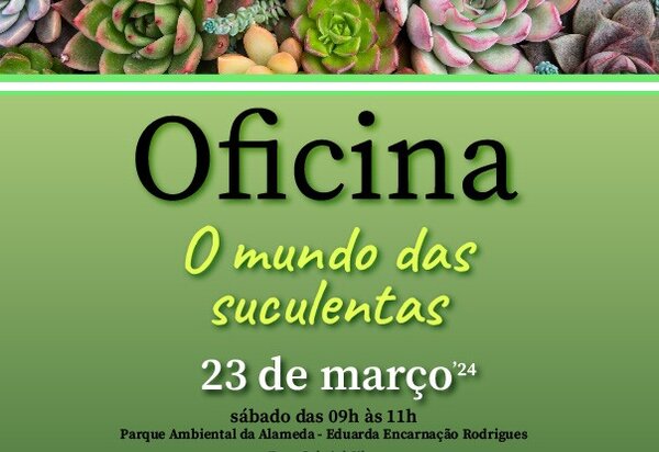 eventos_mundo_das_suculentas