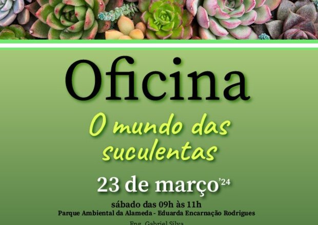 eventos_mundo_das_suculentas