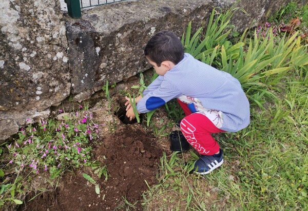 img_20240520_094736_resized_20240520_034815344