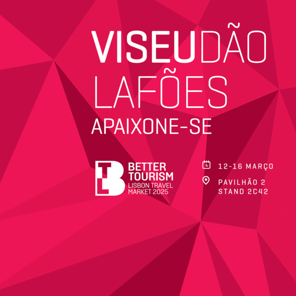 481767609_1078612514299739_4453264187005196640_n