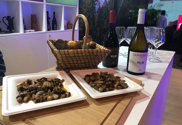 photo_17_03_2025__11_12_39__5___1_