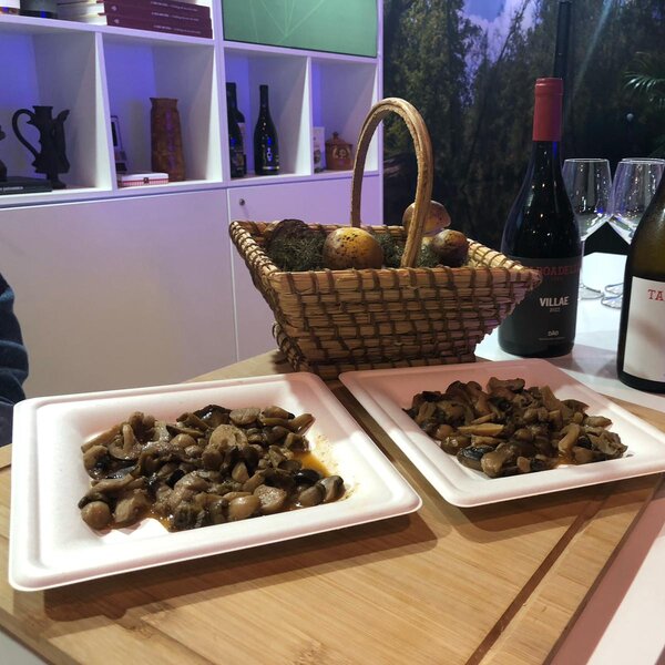 photo_17_03_2025__11_12_39__5___1_