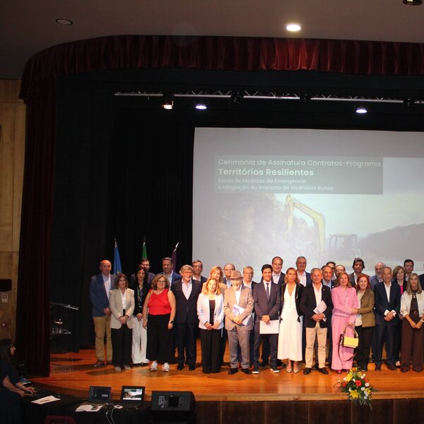 Medidas de Emergência de Apoio e Mitigação do Impacto de Incêndios Rurais