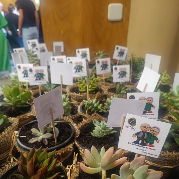 dia internacional do idoso