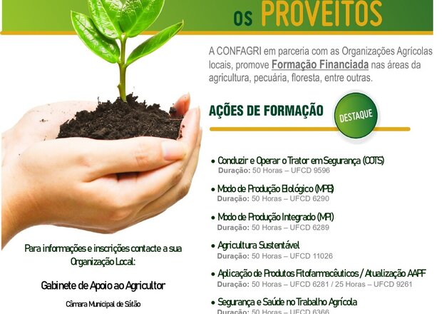 451682865_906970458126681_202054478166216322_n