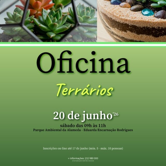 oficina terrarios