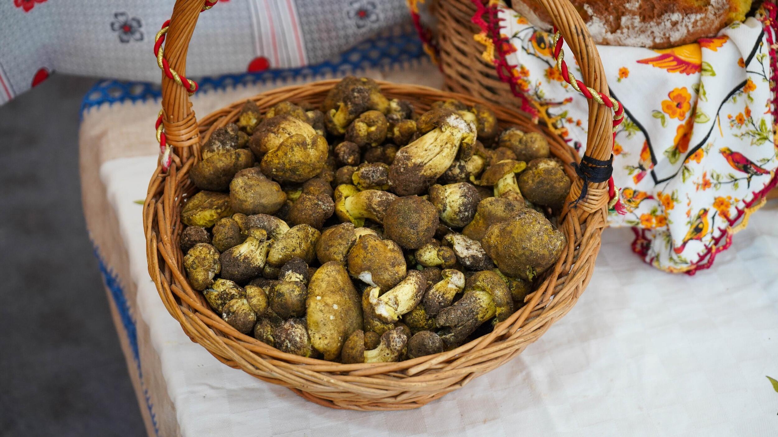 Feira do Míscaro em Sátão foi mais uma vez um sucesso