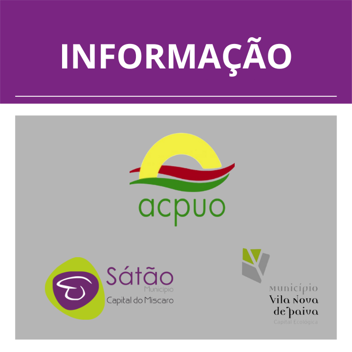  Inscrições abertas para  Festival de Geminação entre Sátão – Les Ulis e Vila Nova de Paiva – Orsay