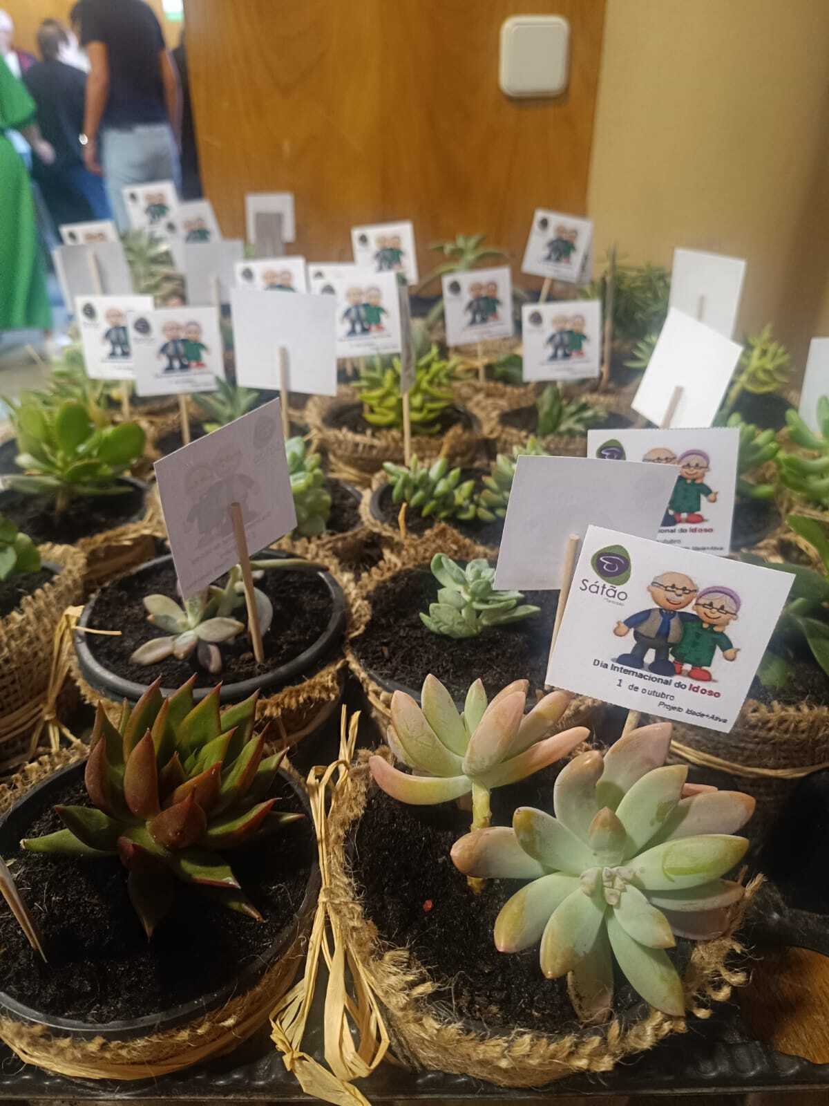 Celebração do Dia Internacional do Idoso