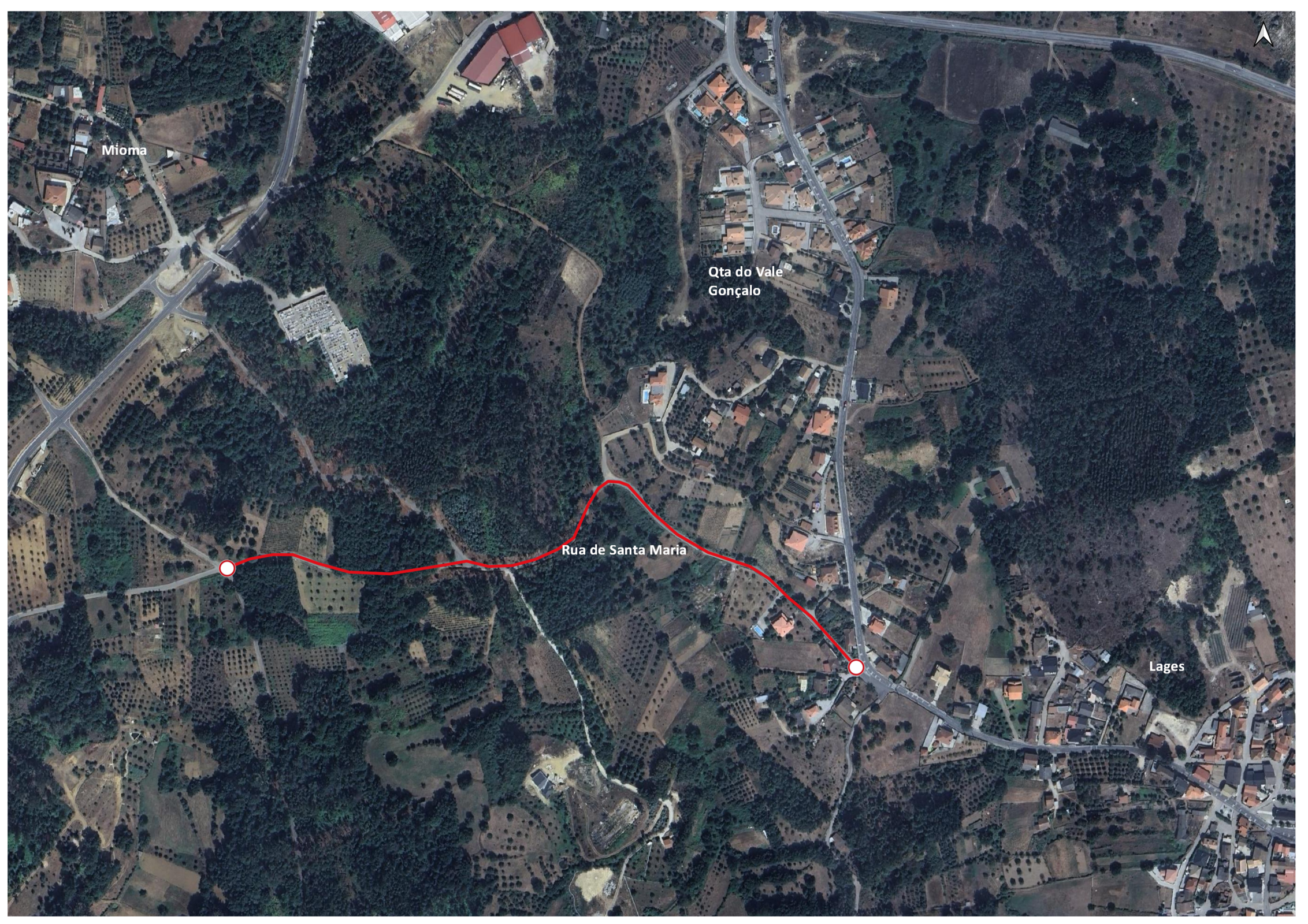 Corte de Tr&acirc;nsito