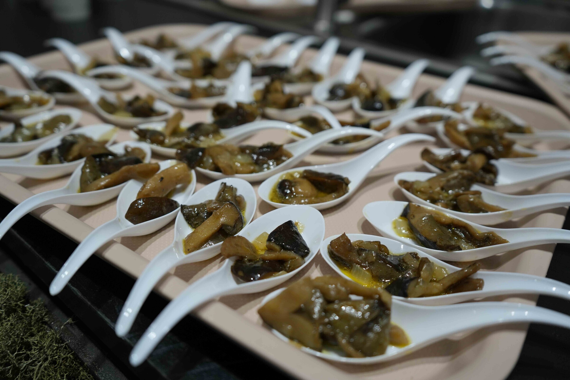 XVIII Feira do M&iacute;scaro - -147