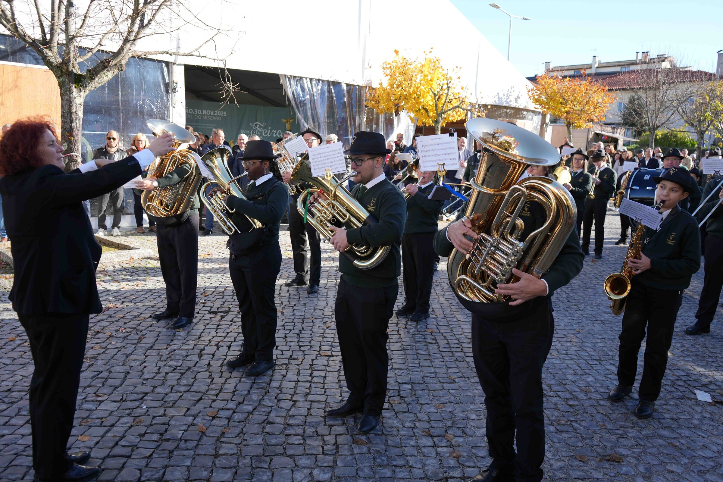XVIII Feira do M&iacute;scaro - -9