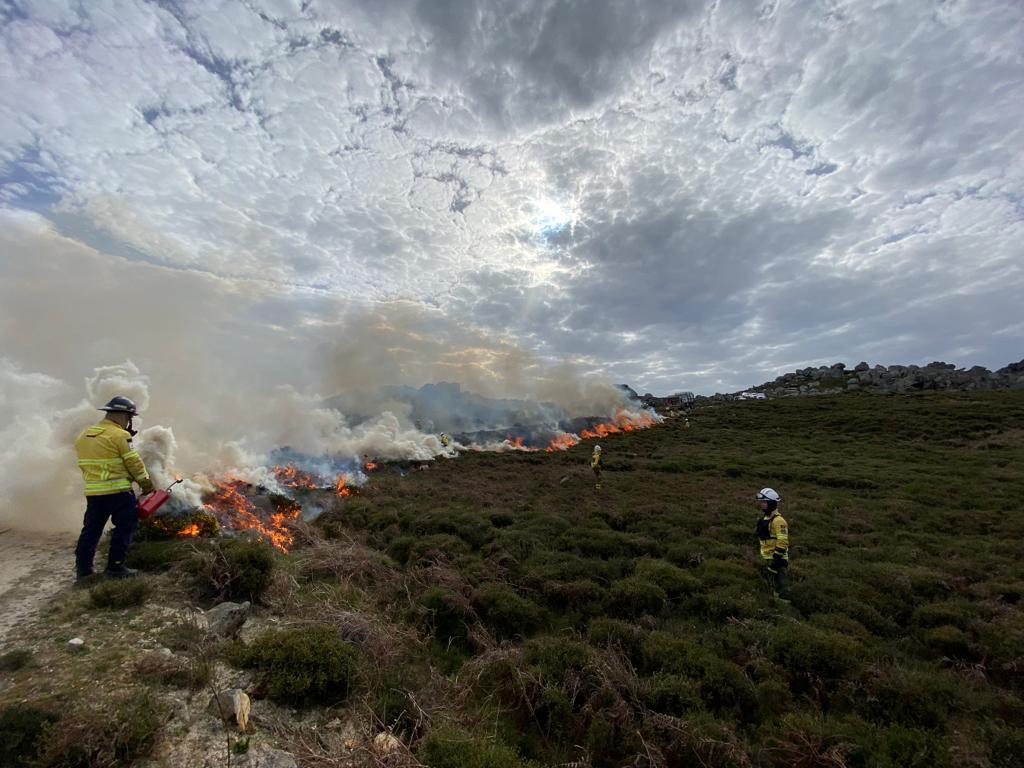 IBERIAN TREX Viseu D&atilde;o Laf&otilde;es 2026