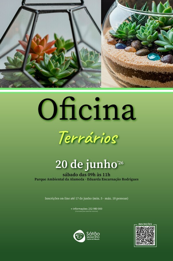 oficina terrarios
